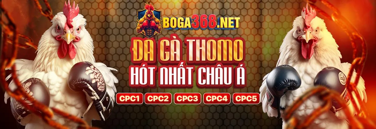 Sân vận động bóng đá với đèn pha sáng rực, tượng trưng cho cá cược thể thao vt888 line